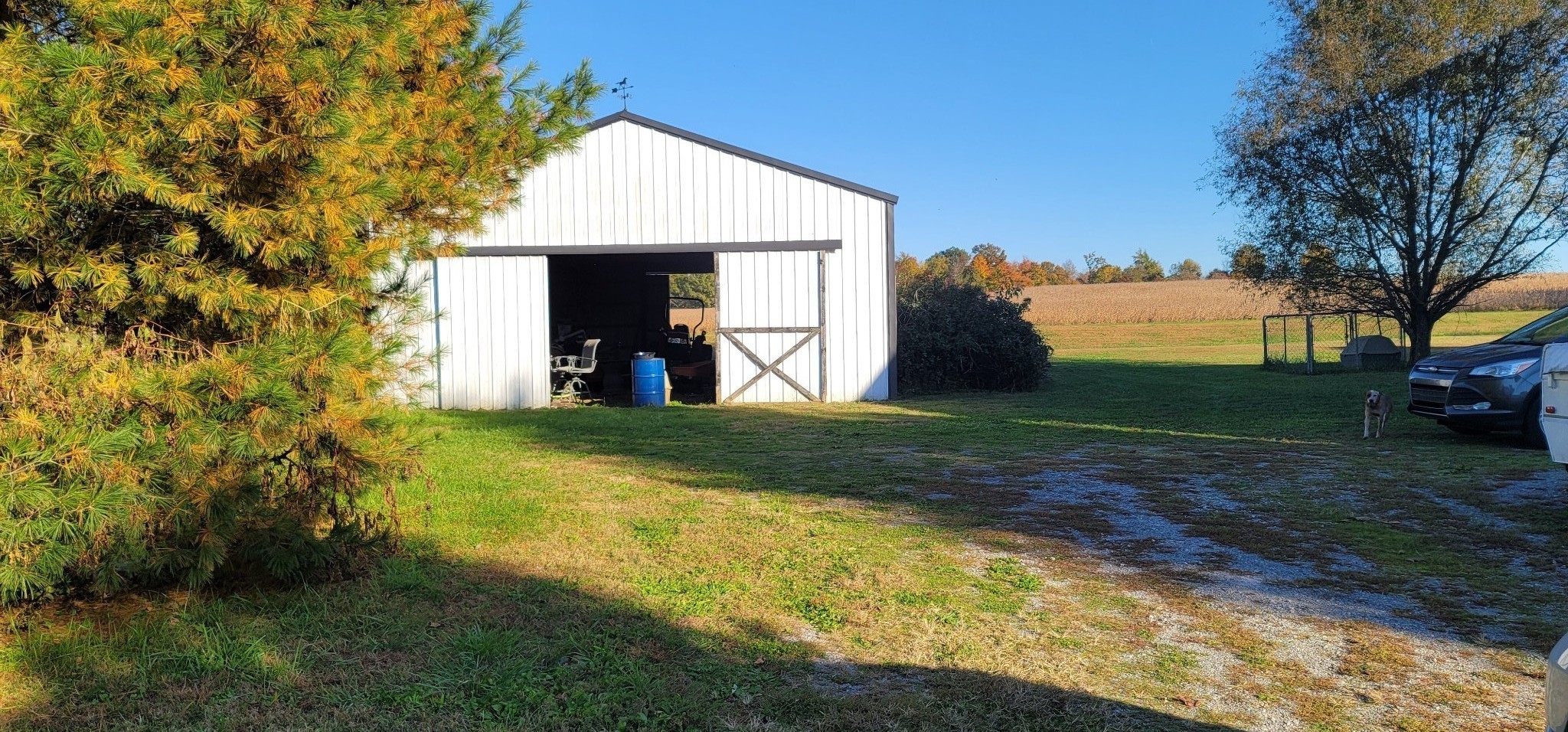 6197 H B Lee Road Springfield, TN 37172 - Photo 49 of 60 a view of a house with backyard and a tree