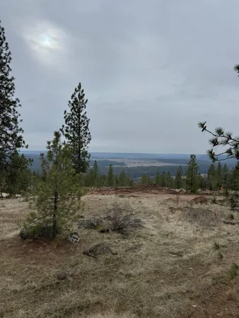 $355,000 | 4699 West Landon Lane, Unit SITE 131, Spokane, WA 99208
