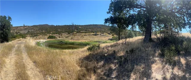 a view of river covered by trees