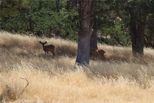 a bathroom with a sink a mirror and shower