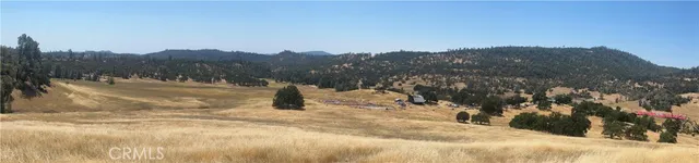 a view of a yard with a mountain