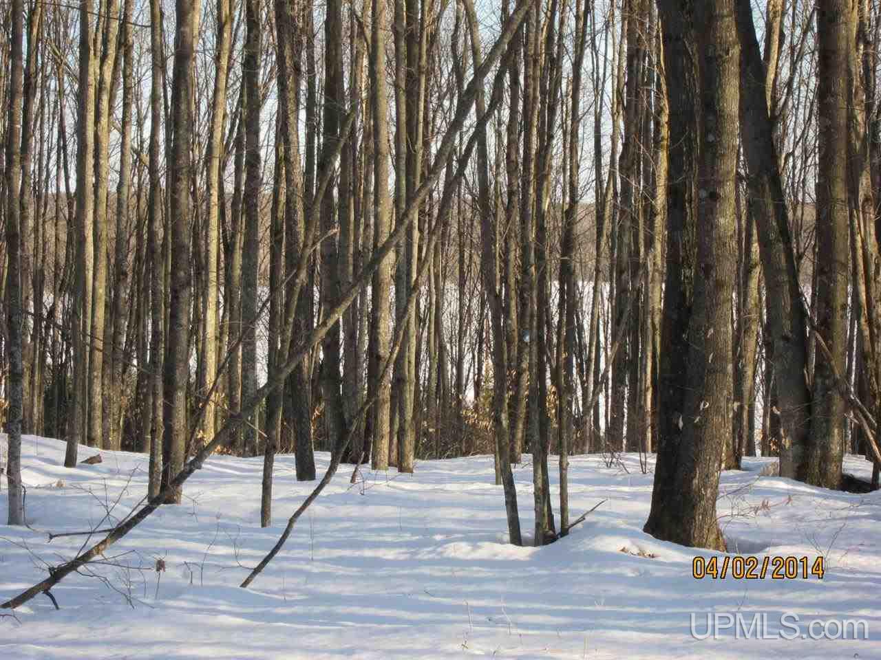 Tbd Pentoga Road Crystal Falls, MI 49920 - Photo 1 of 6 Gallery Image 1