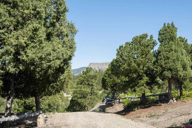 a view of a field with a tree in the background