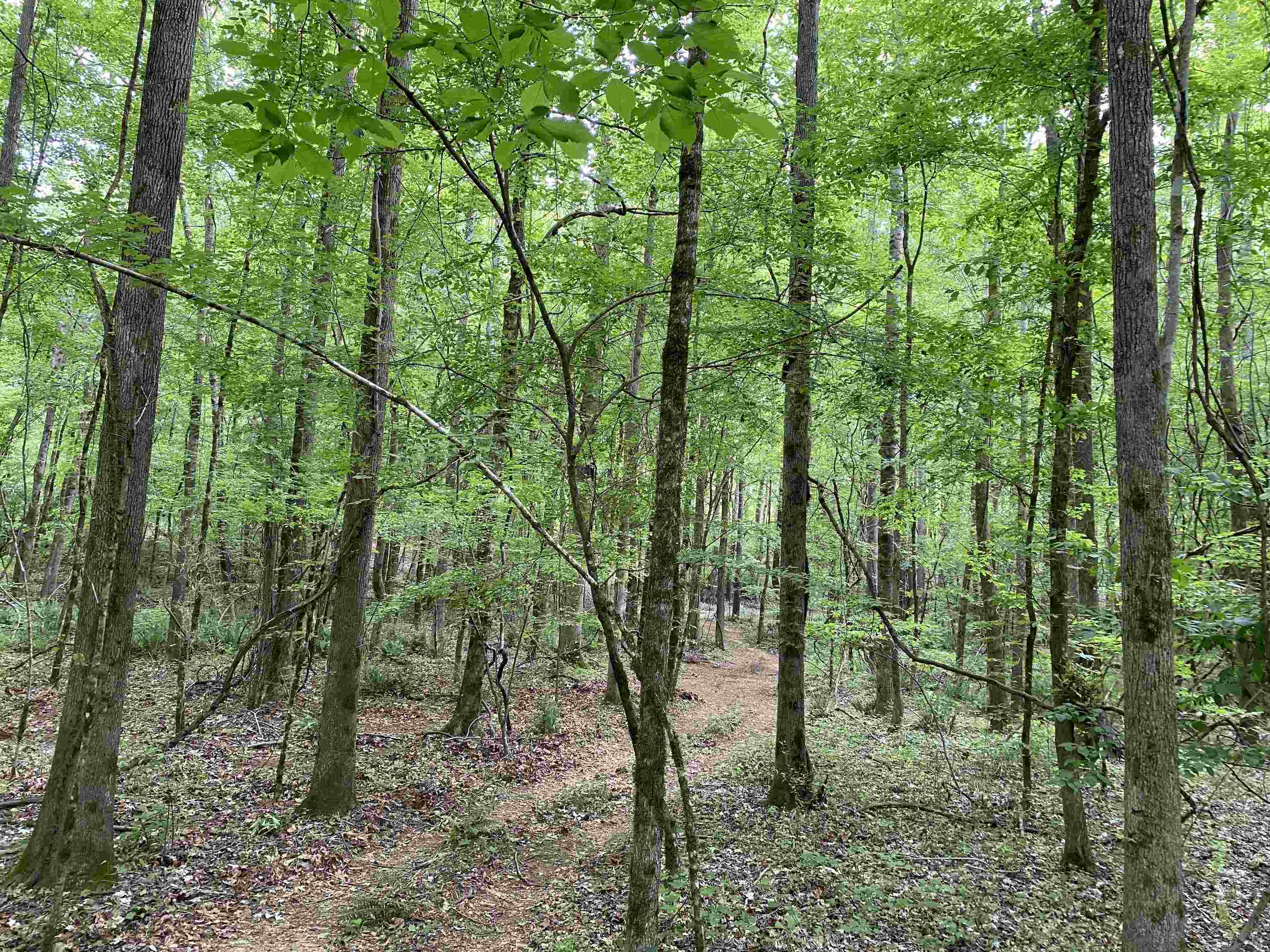 914 Edge Road Forsyth, GA 31029 - Photo 1 of 9