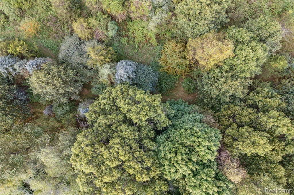 0 Swarthout Road Pinckney, MI 48169 - Photo 14 of 16