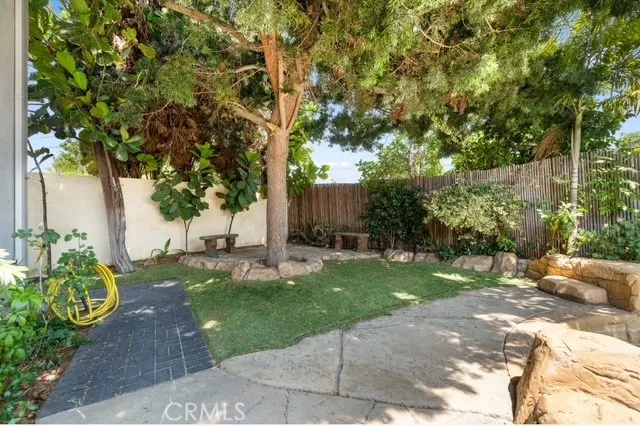 a view of a park with a tree