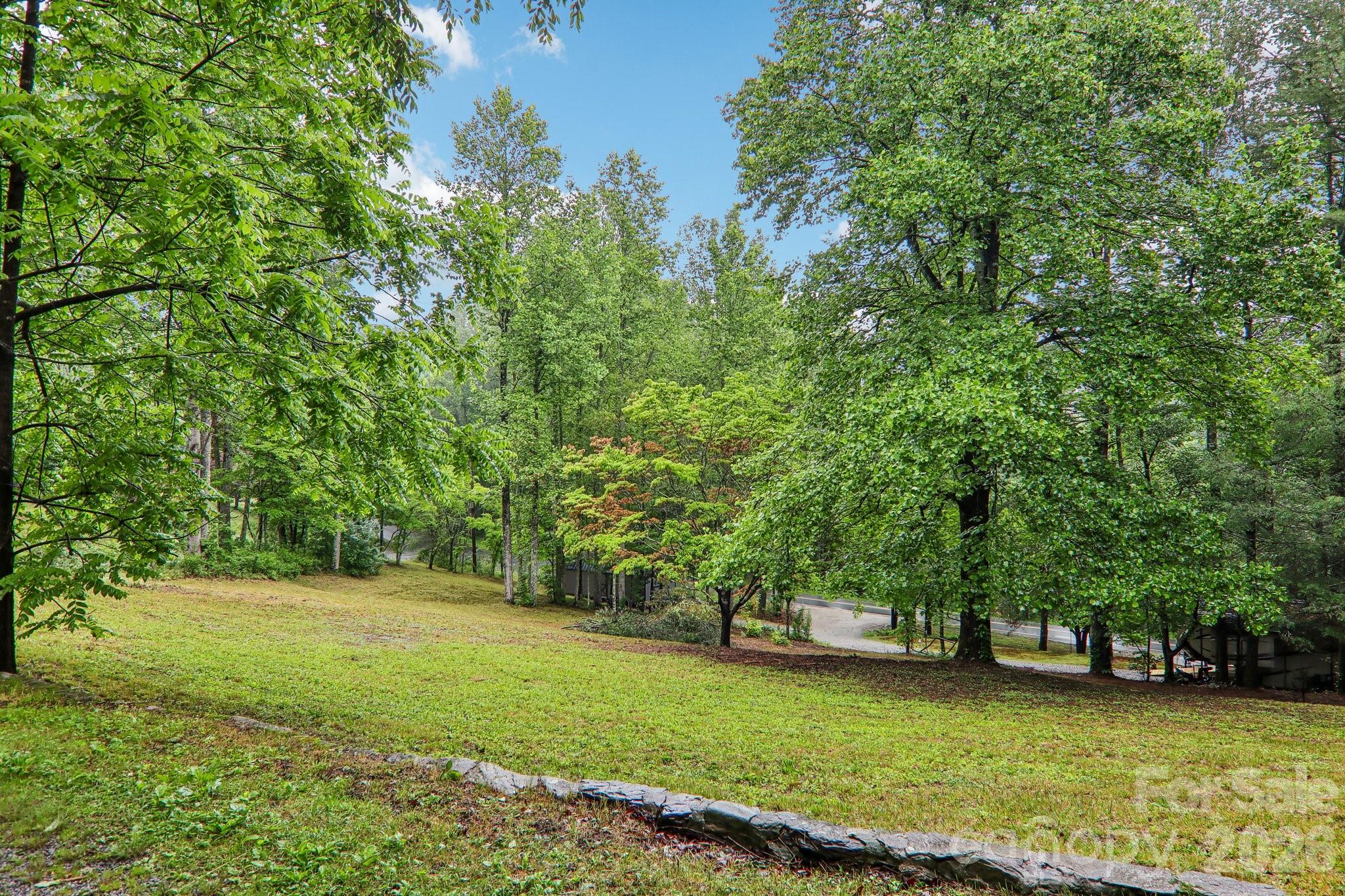 677 Mt Olivet Road Zirconia, NC 28790 - Photo 29 of 33