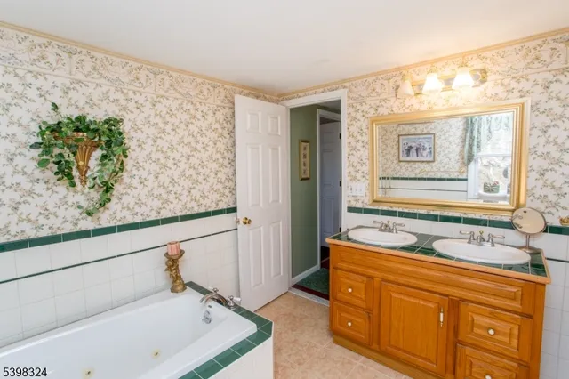 a bathroom with a tub and a plant