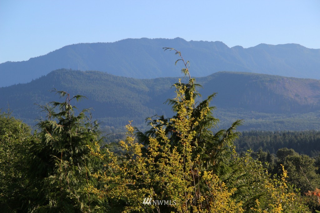 0 Elwha Bluff Road Port Angeles, WA 98363 - Photo 2 of 5 Gallery Image 2