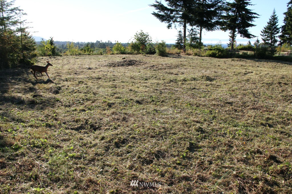 0 Elwha Bluff Road Port Angeles, WA 98363 - Photo 3 of 5 Gallery Image 3