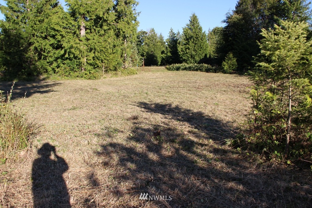 0 Elwha Bluff Road Port Angeles, WA 98363 - Photo 4 of 5 Gallery Image 4