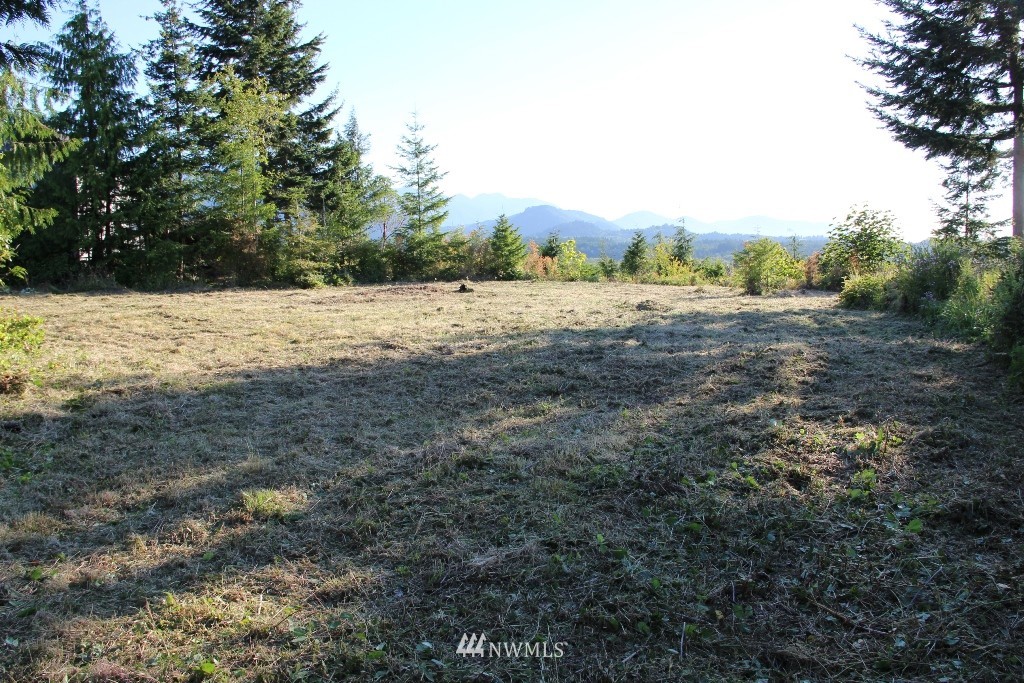 0 Elwha Bluff Road Port Angeles, WA 98363 - Photo 5 of 5 Gallery Image 5