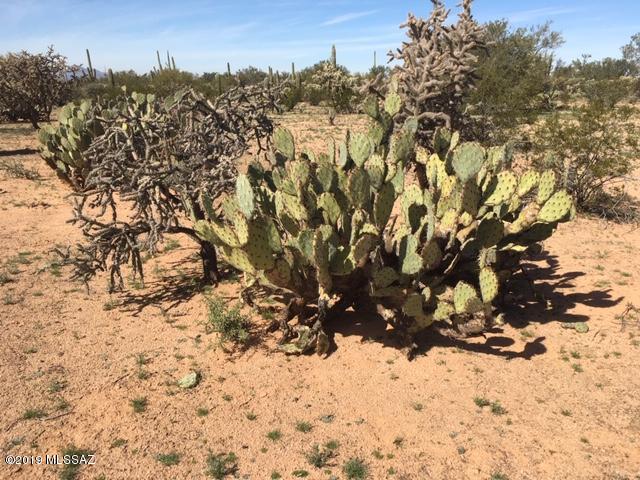 12950 West Fort Lowell Road Tucson, AZ 85743 - Photo 8 of 20