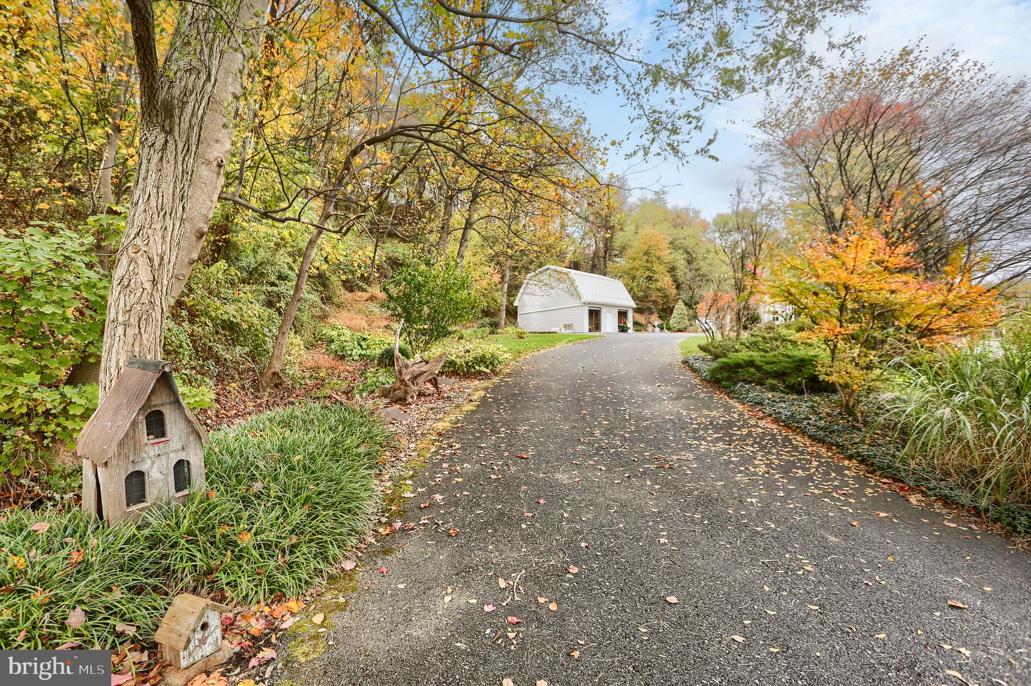 2130 Susquehanna Trail Liverpool, PA 17045 - Photo 12 of 54 a view of a yard with plants and trees
