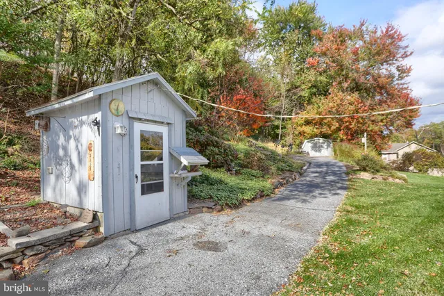 a view of a yard with plants and large trees