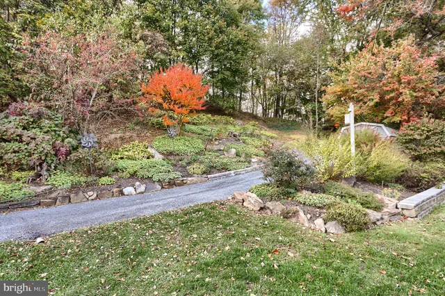 a view of a street with houses