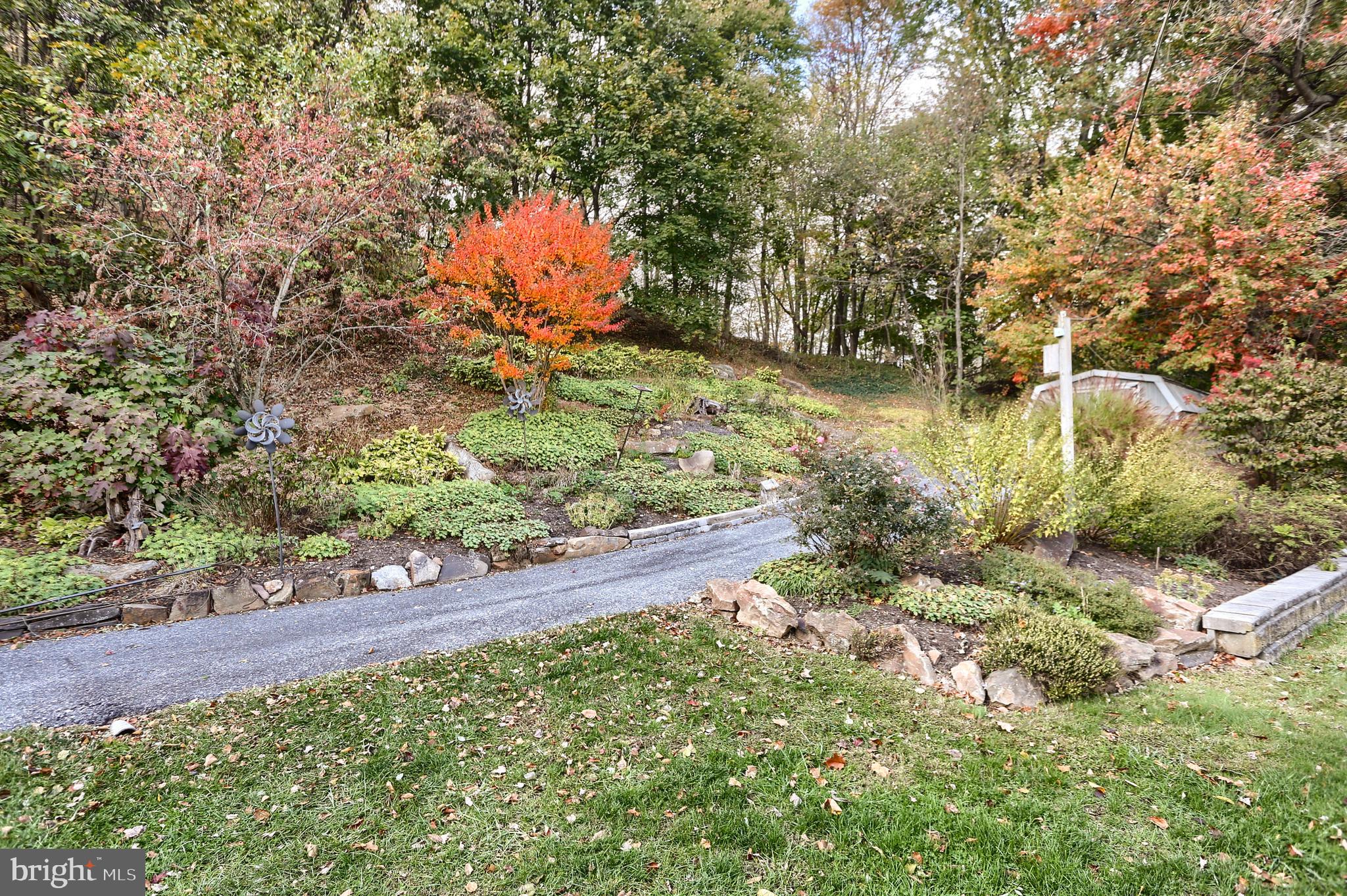 2130 Susquehanna Trail Liverpool, PA 17045 - Photo 14 of 54 a view of a yard with plants and large trees