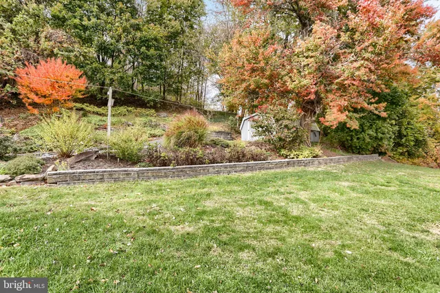 a view of outdoor space and yard