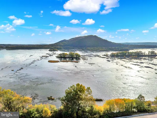a view of a garden with a building in the background