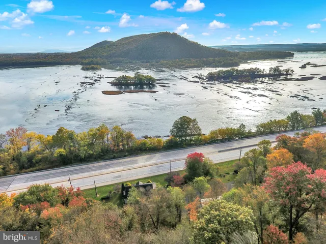 a view of a garden with a terrace