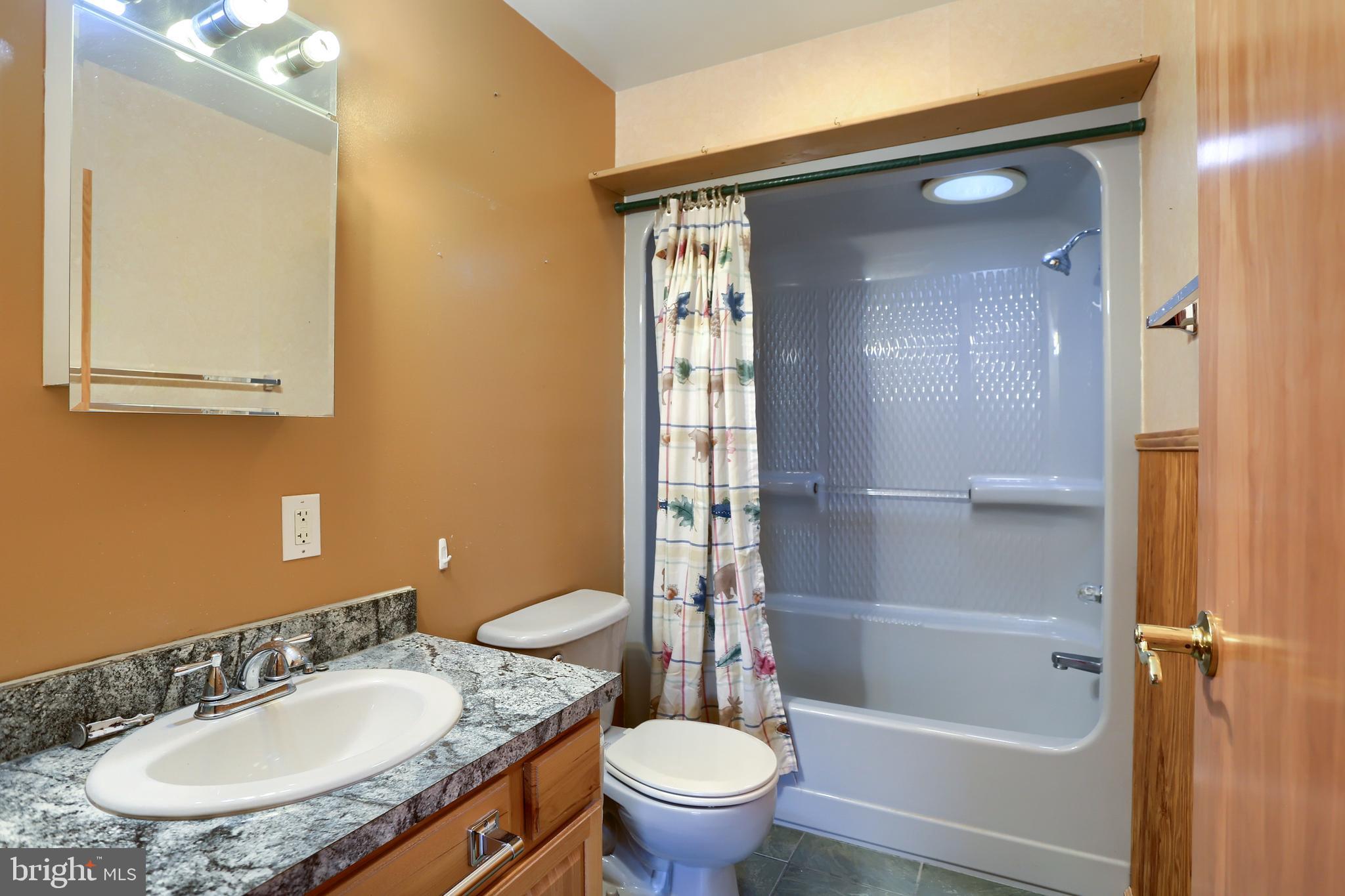 2130 Susquehanna Trail Liverpool, PA 17045 - Photo 36 of 54 a bathroom with a sink a toilet and shower