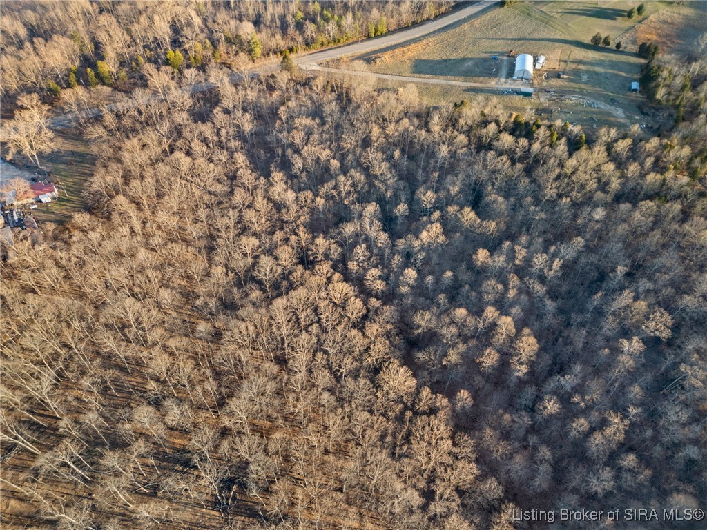 1545 South State Road 237 English, IN 47118 - Photo 11 of 22