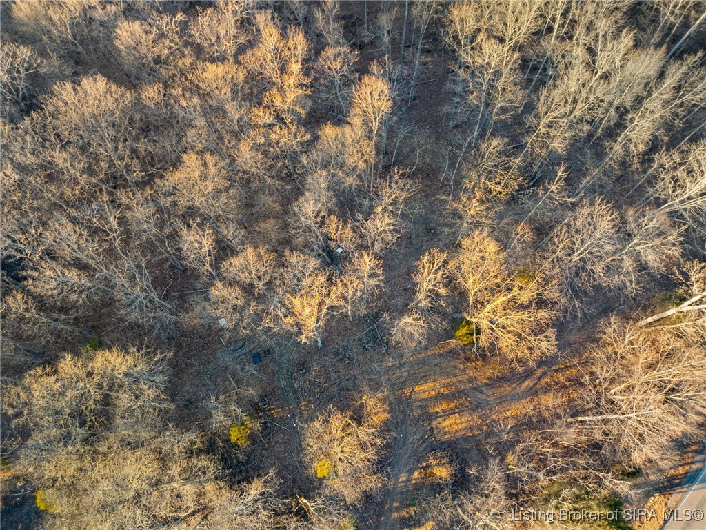 1545 South State Road 237 English, IN 47118 - Photo 16 of 22