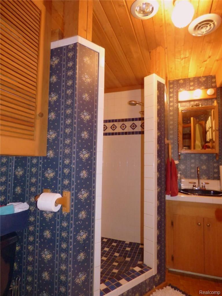 11070 Mcgregor Road Pinckney, MI 48169 - Photo 21 of 30 19 WALK OUT BATHROOM.JPG