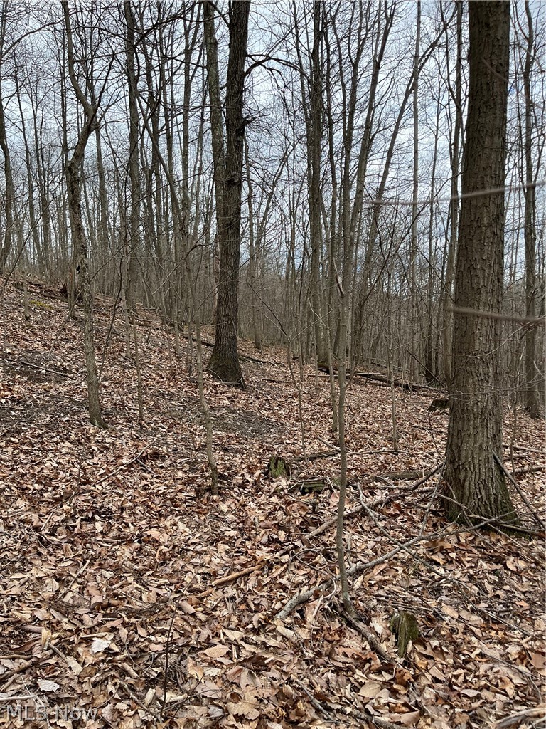 260 State Route New Matamoras, OH 45767 - Photo 10 of 19
