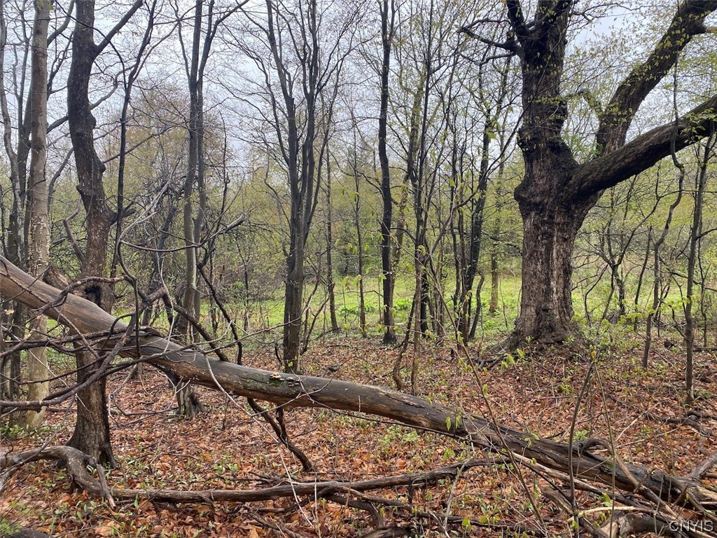 0 Maxon Road Varysburg, NY 14167 - Photo 11 of 12