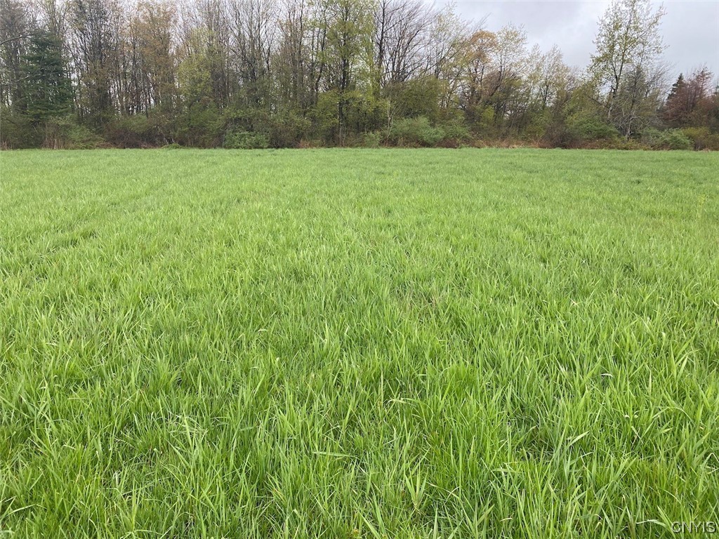 0 Maxon Road Varysburg, NY 14167 - Photo 2 of 12