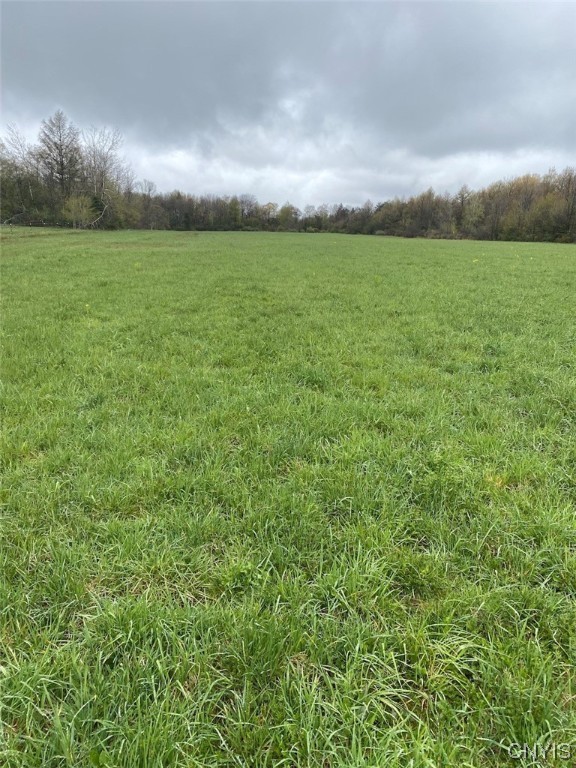 0 Maxon Road Varysburg, NY 14167 - Photo 3 of 12