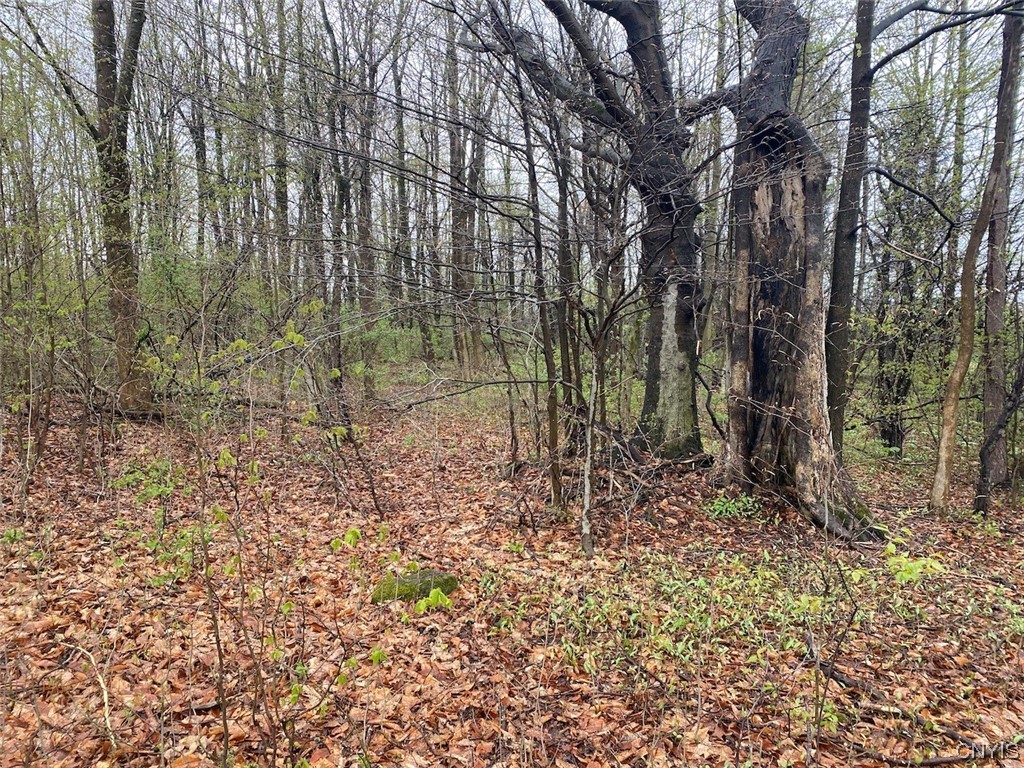 0 Maxon Road Varysburg, NY 14167 - Photo 7 of 12