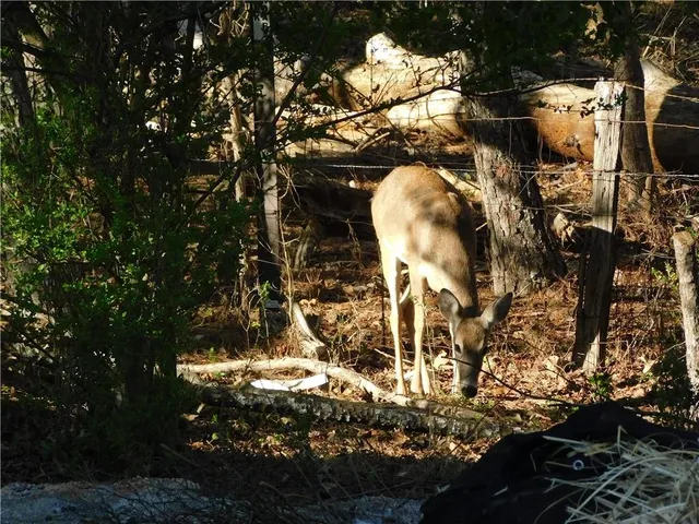 $389,995 | 873 Port W Drive Northeast, Auburn, GA 30011