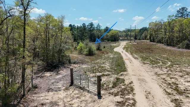 a view of outdoor space and tree