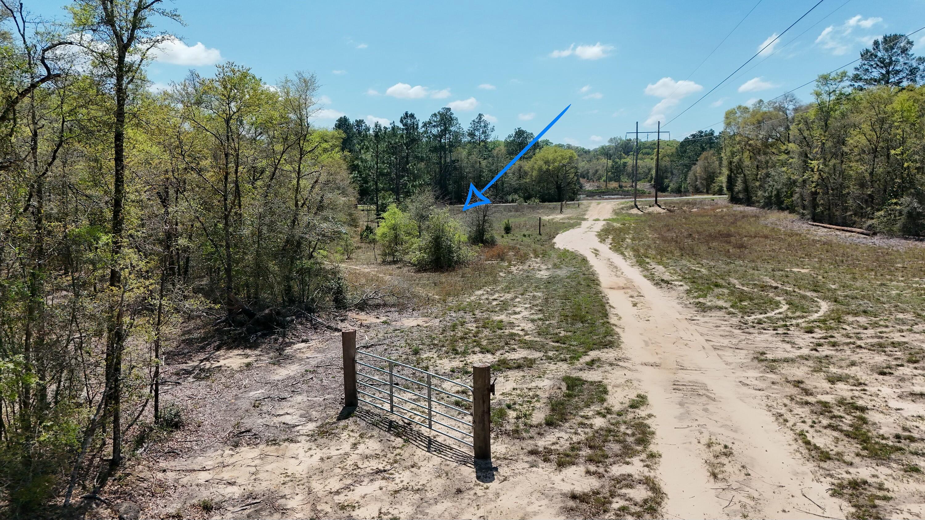 0 North 20th Street DeFuniak Springs, FL 32433 - Photo 7 of 11 a view of a backyard with trees