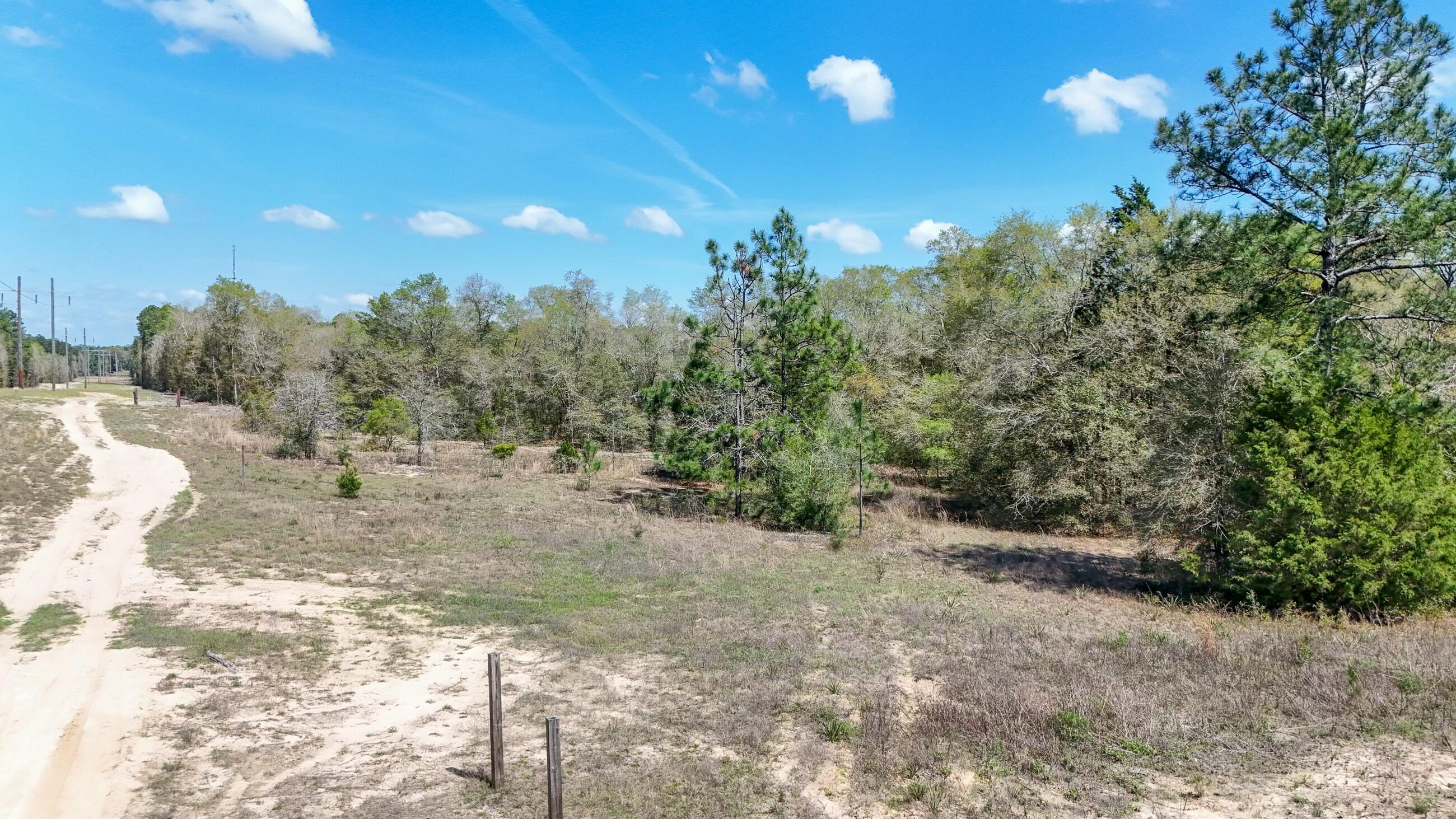 0 North 20th Street DeFuniak Springs, FL 32433 - Photo 9 of 11 a view of a building with a yard
