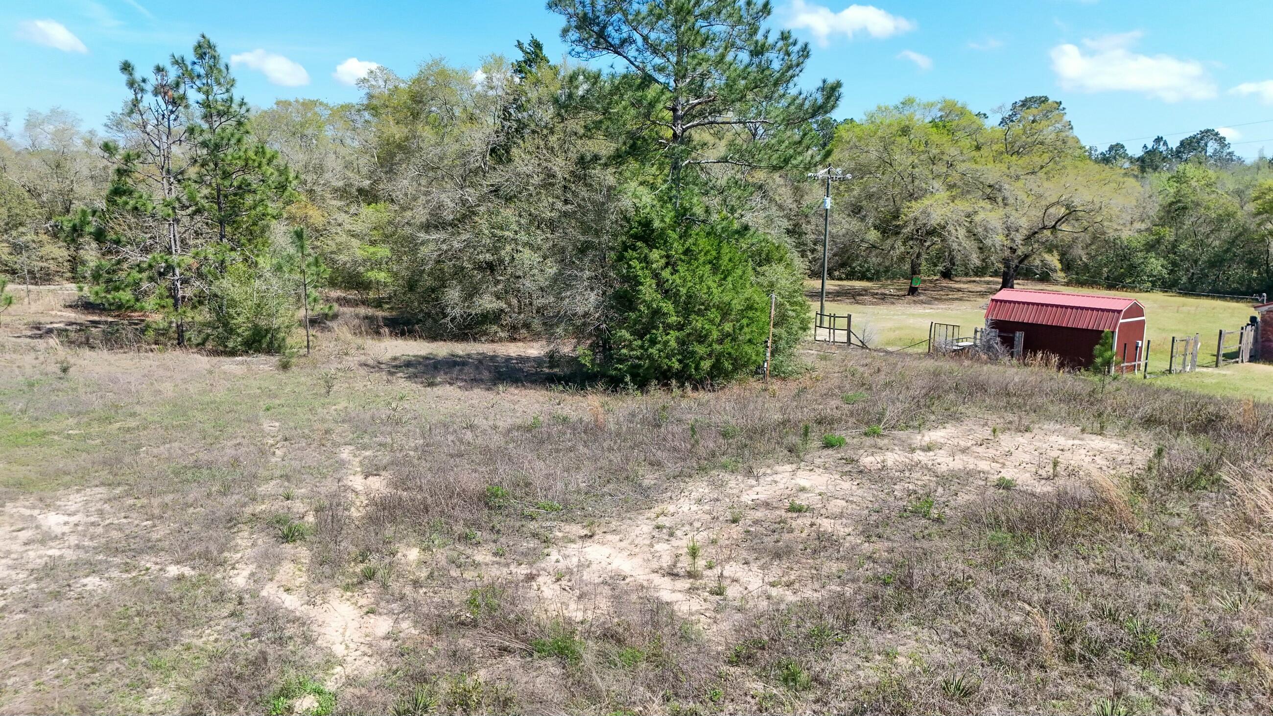 0 North 20th Street DeFuniak Springs, FL 32433 - Photo 10 of 11 a fire hydrant in the middle of a field