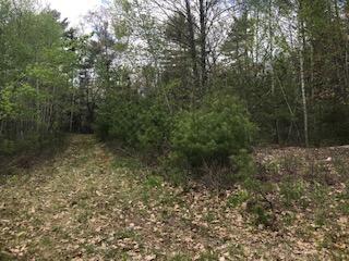 108 Main Road Westport Island, ME 04578 - Photo 15 of 16 IMG_8636