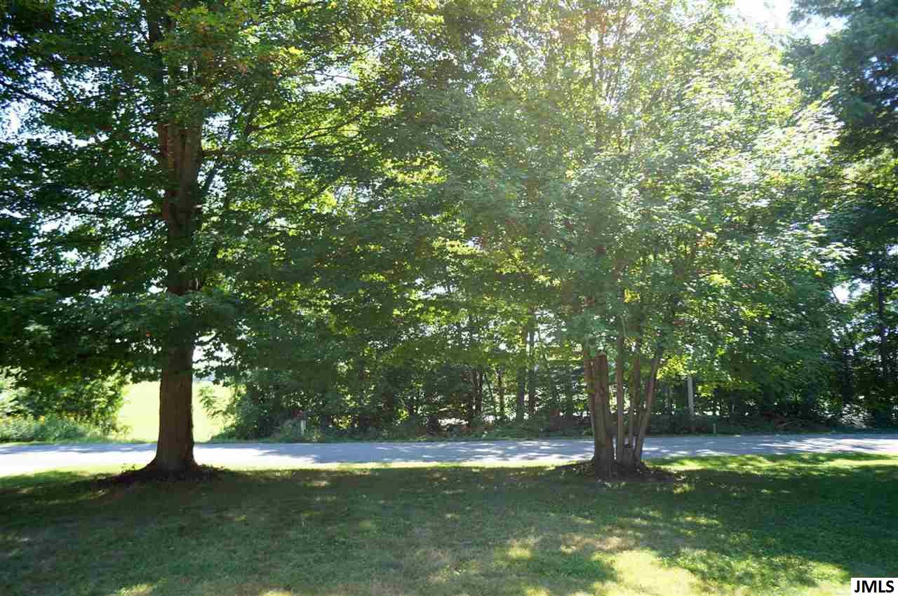 9886 North Parma Road Springport, MI 49284 - Photo 36 of 36 Photo 36