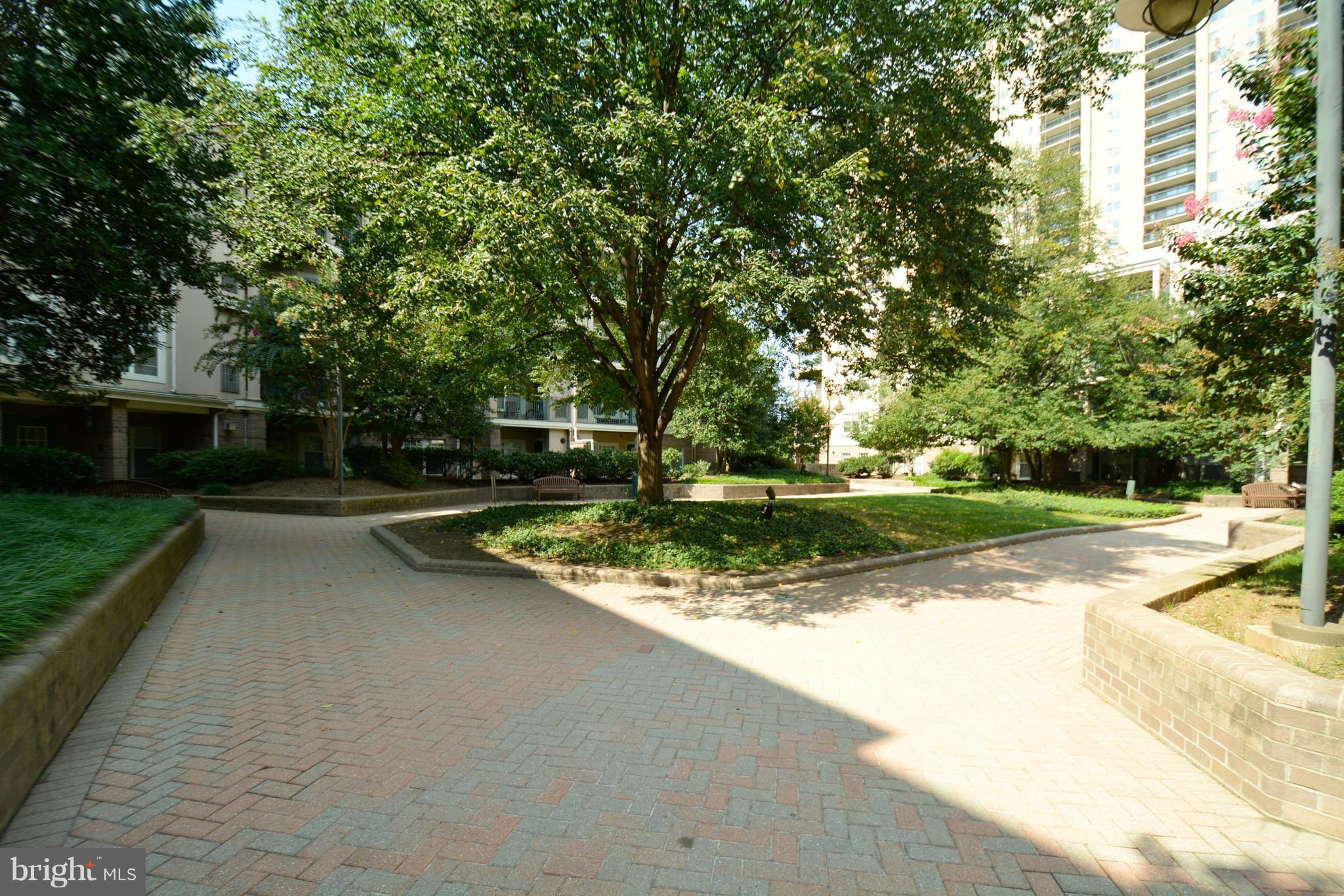 5575 Seminary Road, Unit 211 Falls Church, VA 22041 - Photo 13 of 15 Community