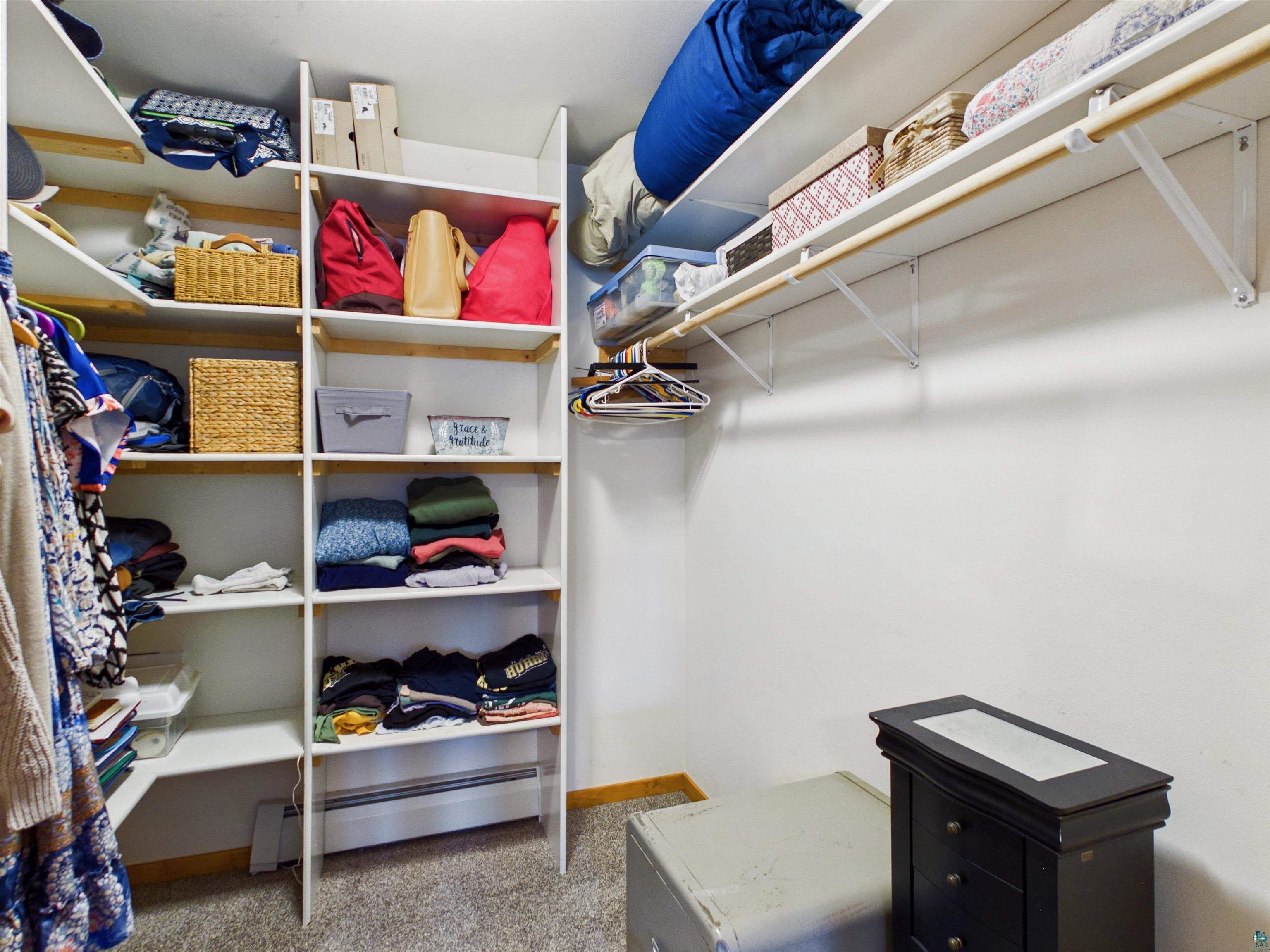 16539 Acorn Ridge Hayward, WI 54843 - Photo 38 of 58 Walk in closet with light colored carpet and a baseboard radiator