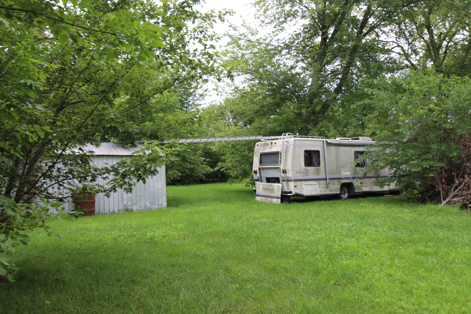 3523 West 2000 S Road Kankakee, IL 60901 - Photo 8 of 20 a view of a backyard with plants and large trees