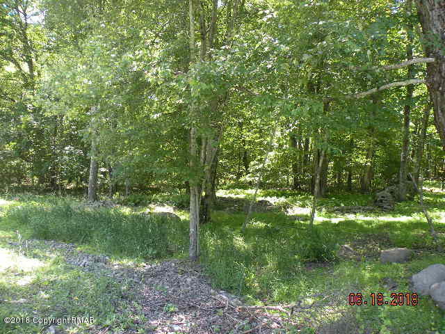 Lot 11 Cranberry Road Stroudsburg, PA 18360 - Photo 1 of 1 DSCN3620
