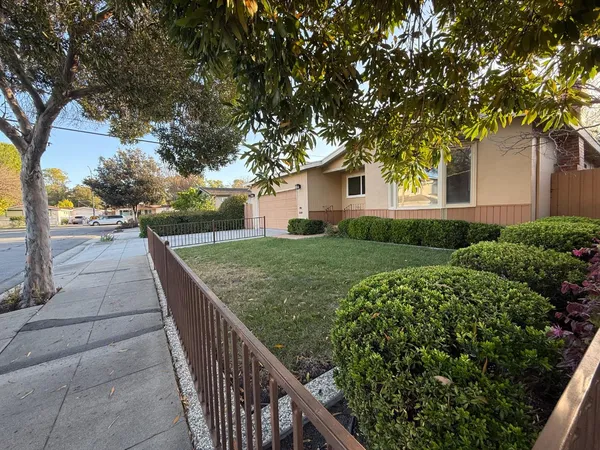 a view of a house with a yard and plants