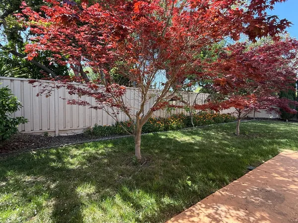 a backyard of a house