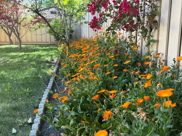 $5,150 | 705 Santa Rita Street, Sunnyvale, CA 94085