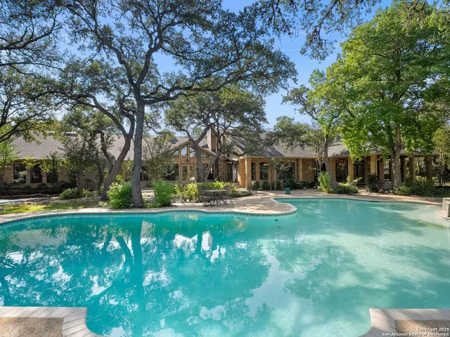 a view of a yard with plants