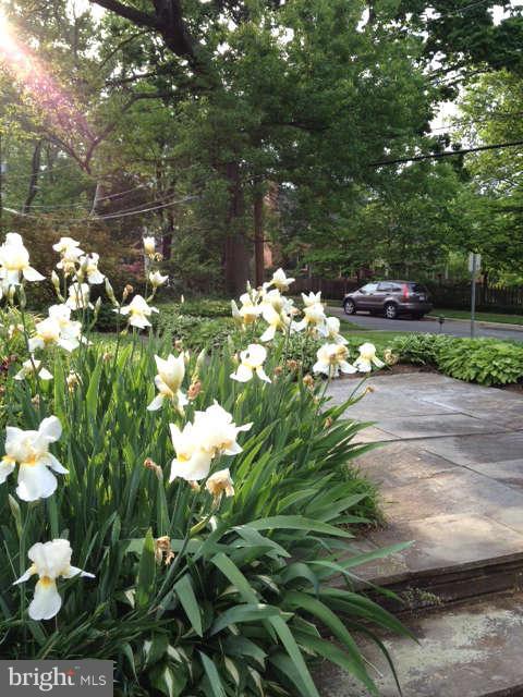 5202 Goddard Road Bethesda, MD 20814 - Photo 20 of 21 Front flower bed & slate walkway