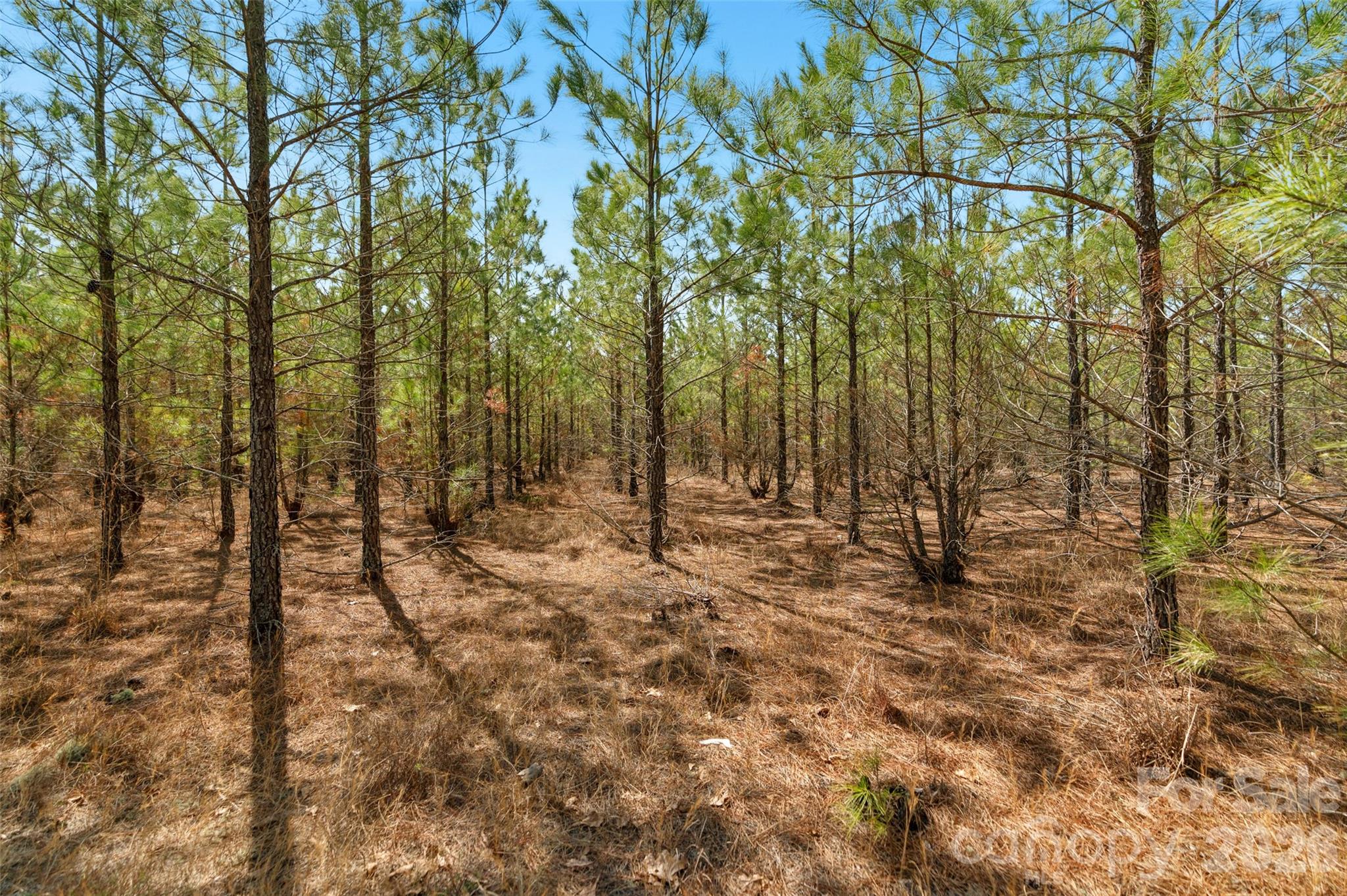 931 Charlie Johnson Road, Unit 2 Kershaw, SC 29067 - Photo 10 of 35